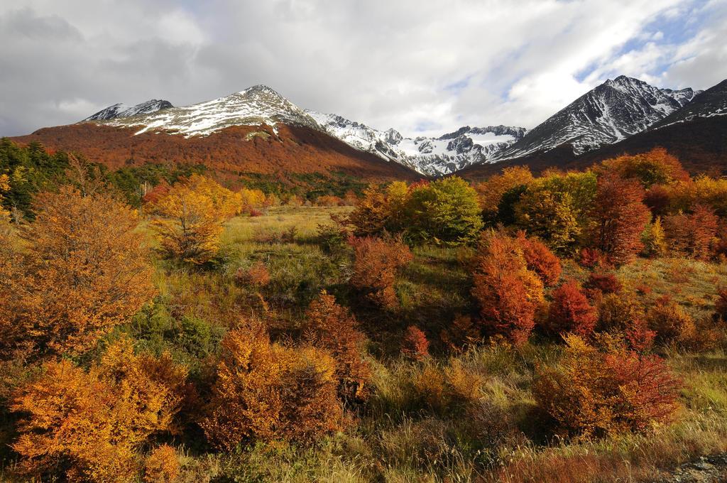 Cumbres Del Martial Ushuaia Exterior foto